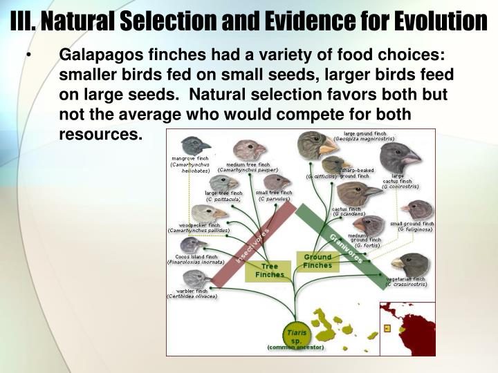 Natural Selection That Favors Both Extremes Natural Selection That Favors Both Extremes