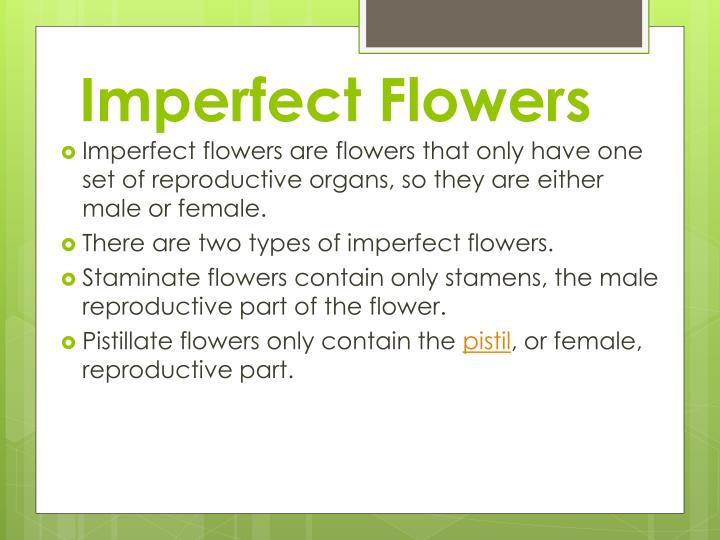 PPT How Can Flowers Benefit Our Environment? PowerPoint Presentation