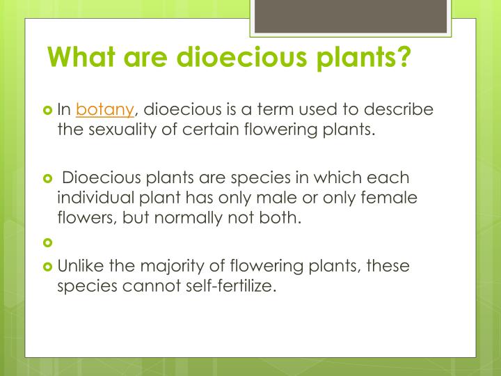 PPT How Can Flowers Benefit Our Environment? PowerPoint Presentation