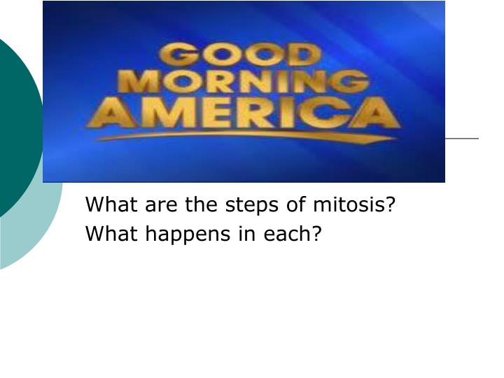 what are the steps of mitosis what happens in each n.