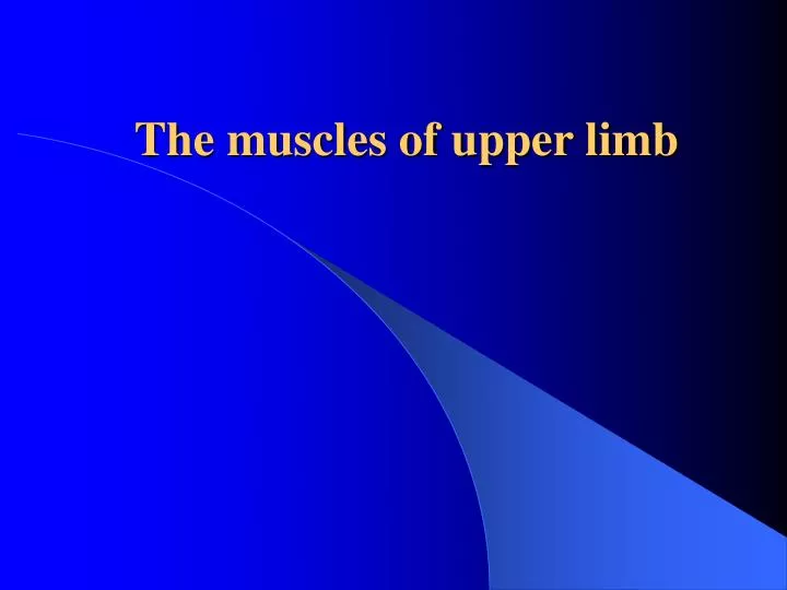 the muscles of upper limb n.