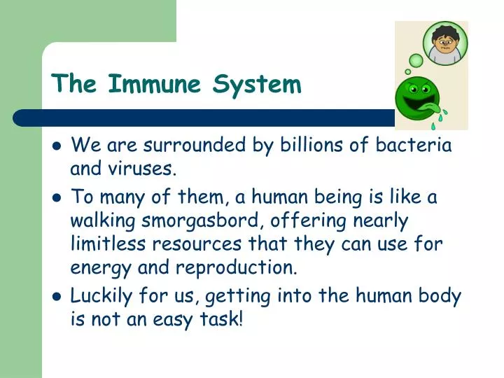 the immune system n.