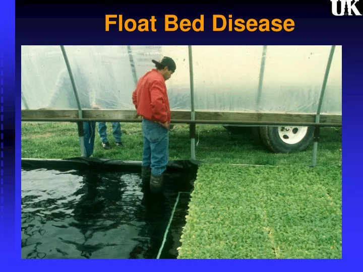 float bed disease n.