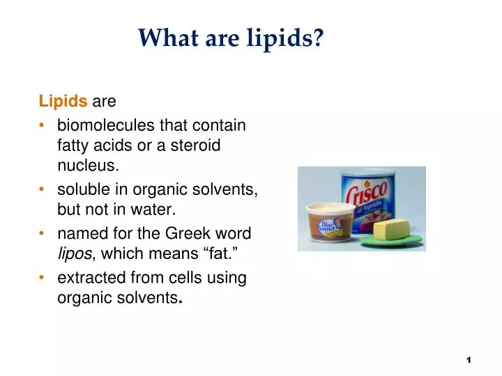 powerpoint presentation on lipids