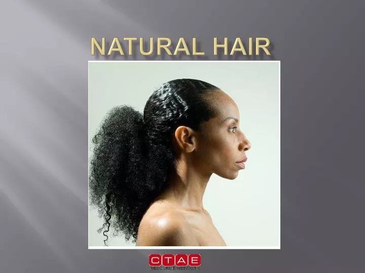 PPT - Natural Hair PowerPoint Presentation, free download - ID:1430898 PPT - Natural Hair PowerPoint Presentation, free download - ID:1430898