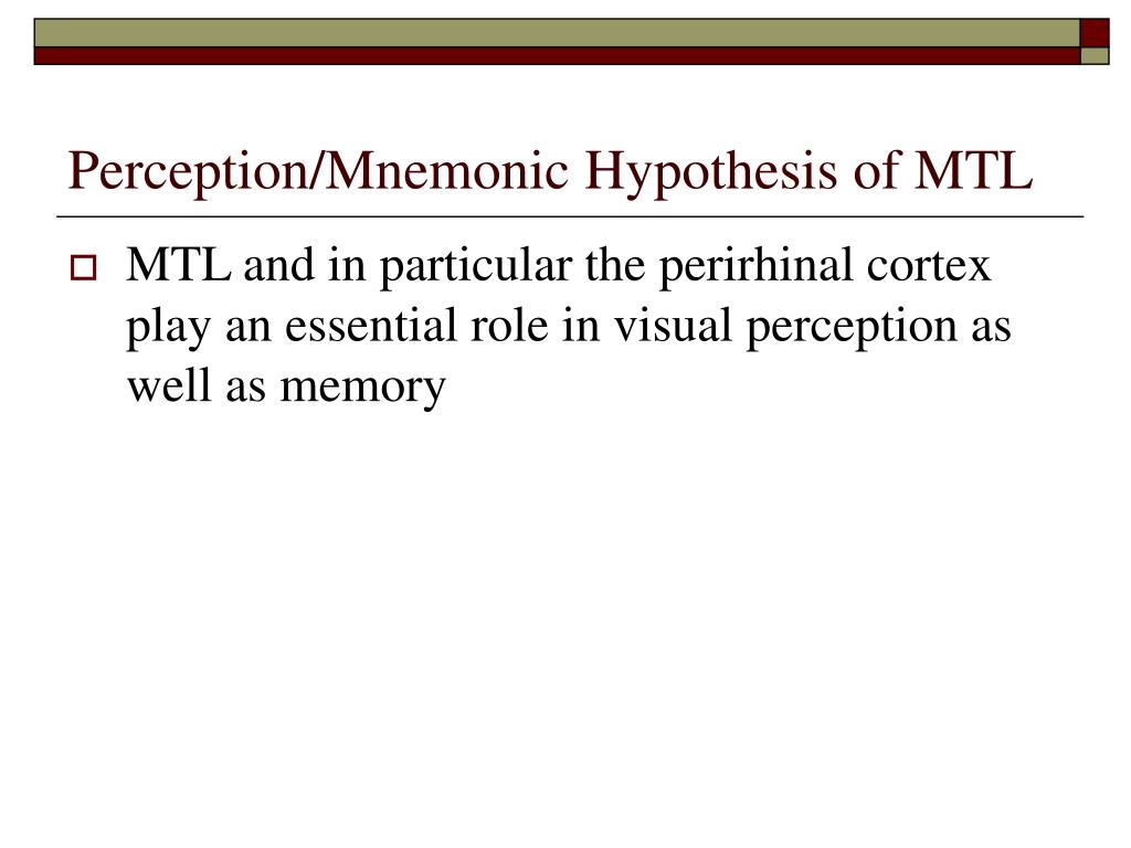 memory hypothesis