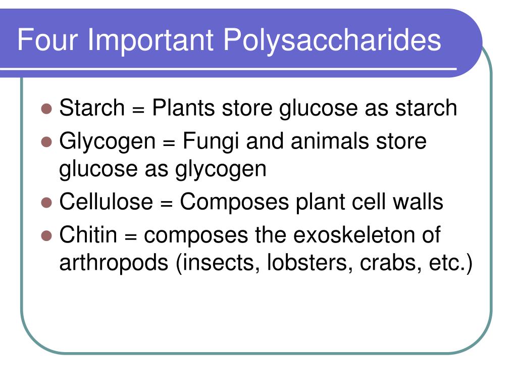 Polysaccharides Definition