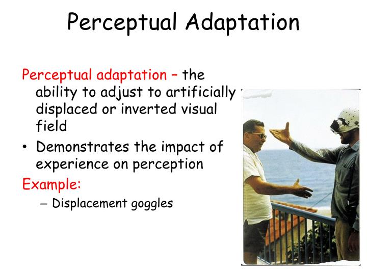 PPT Perception PowerPoint Presentation ID1432134