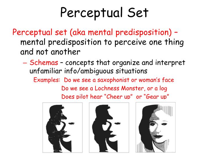 What Determines Our Perceptual Set