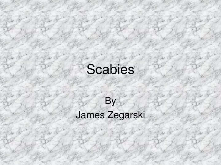 scabies n.