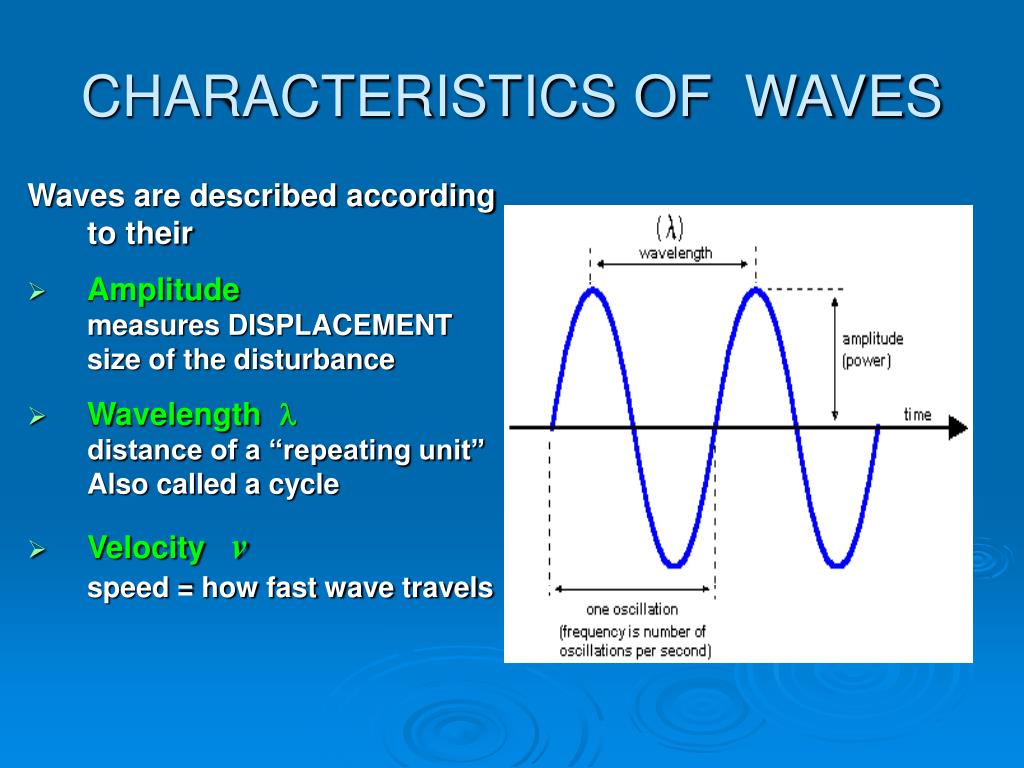 Цикл частоты. Wavelength. Wave Velocity. The Waves characteristics. Wave amplitude.