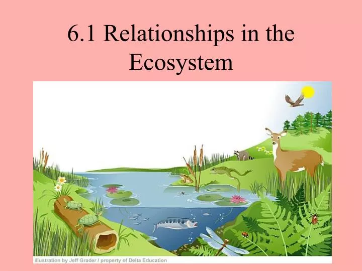 ppt-6-1-relationships-in-the-ecosystem-powerpoint-presentation-free