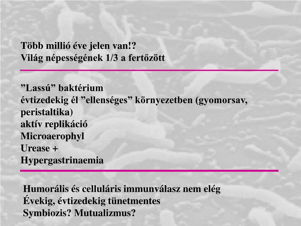 Helicobacter pylori – mit kell tudni a helicobacter fertőzésről?