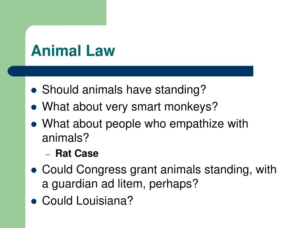 animal law essay