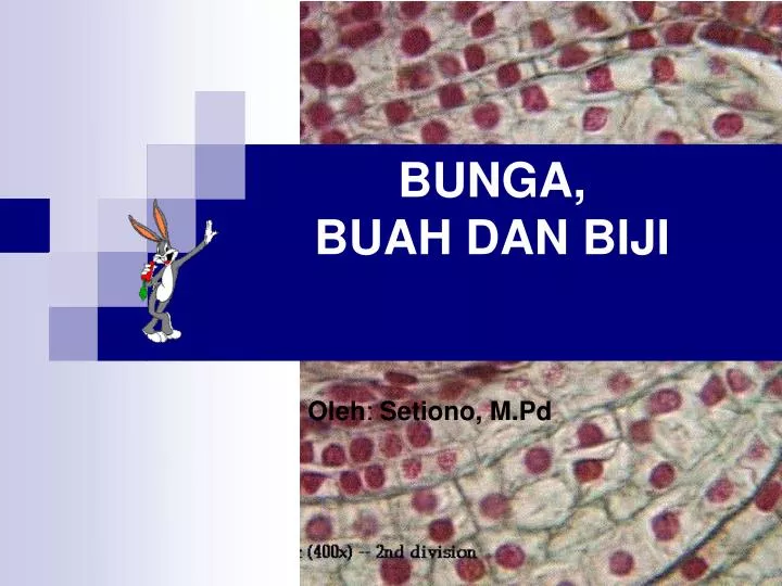 15+ Anatomi Bunga Buah Dan Biji Pdf