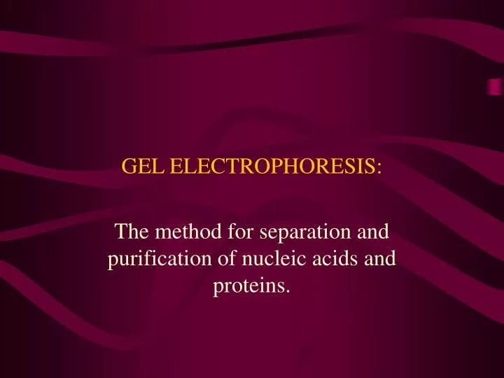 gel electrophoresis n.