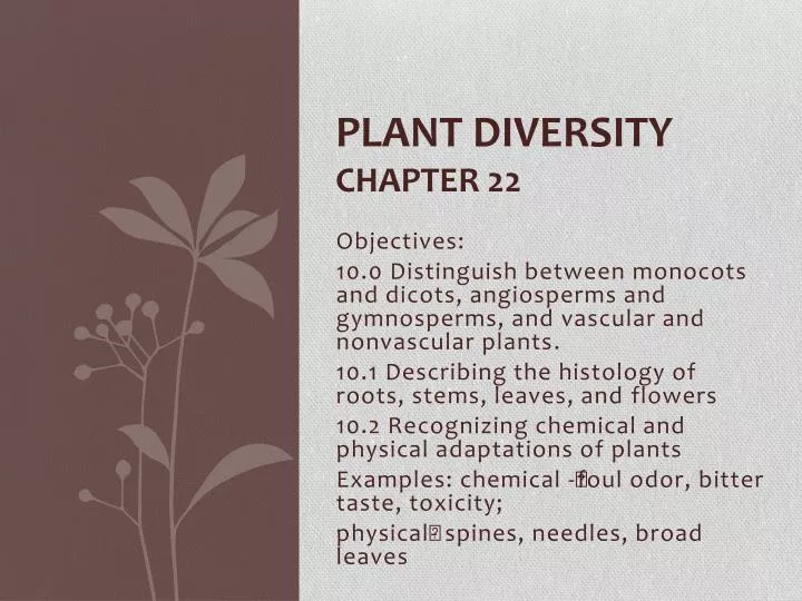 plant diversity chapter 22 n.