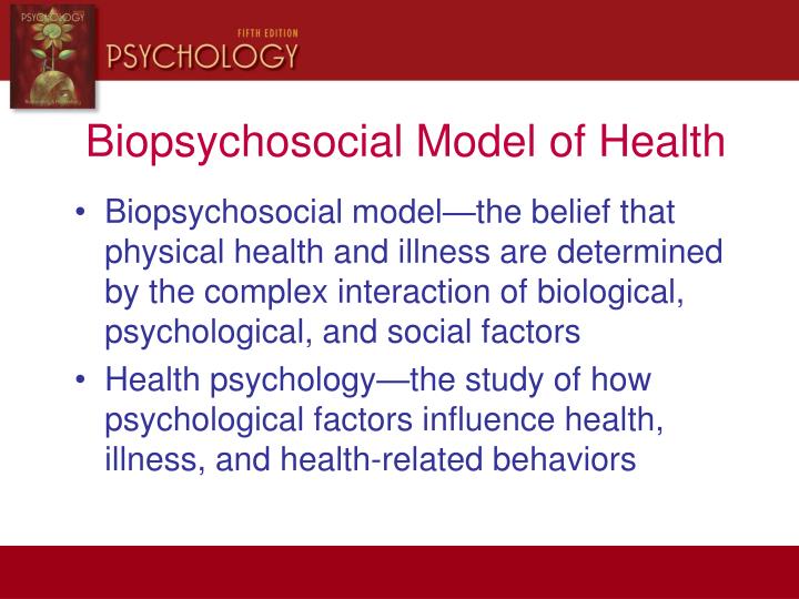 bio psychosocial model of health and illness bio psychosocial model of health and illness