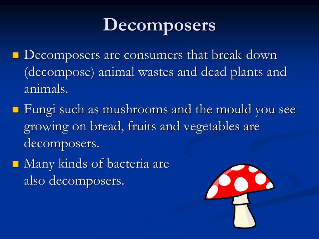 Food Chains, Scavengers & Decomposers PowerPoint Presentation ... Biology Diagrams