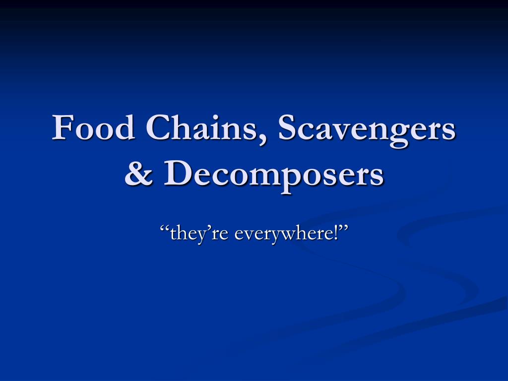 Food Chains, Scavengers & Decomposers PowerPoint Presentation ... Biology Diagrams