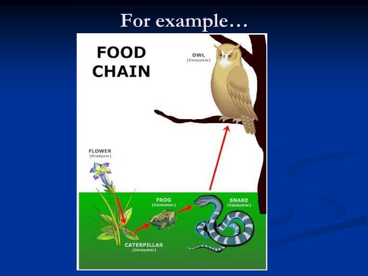 Food Chains, Scavengers & Decomposers PowerPoint Presentation ... Biology Diagrams