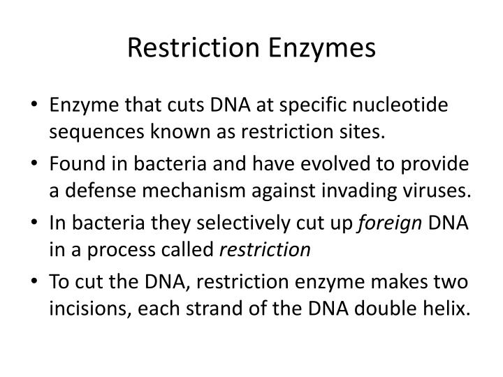 Ppt Restriction Enzymes Powerpoint Presentation Id 1443065