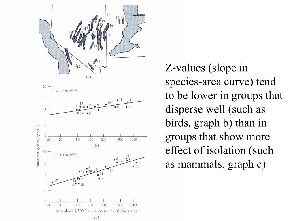 PPT - Island Biogeography PowerPoint Presentation, free ...