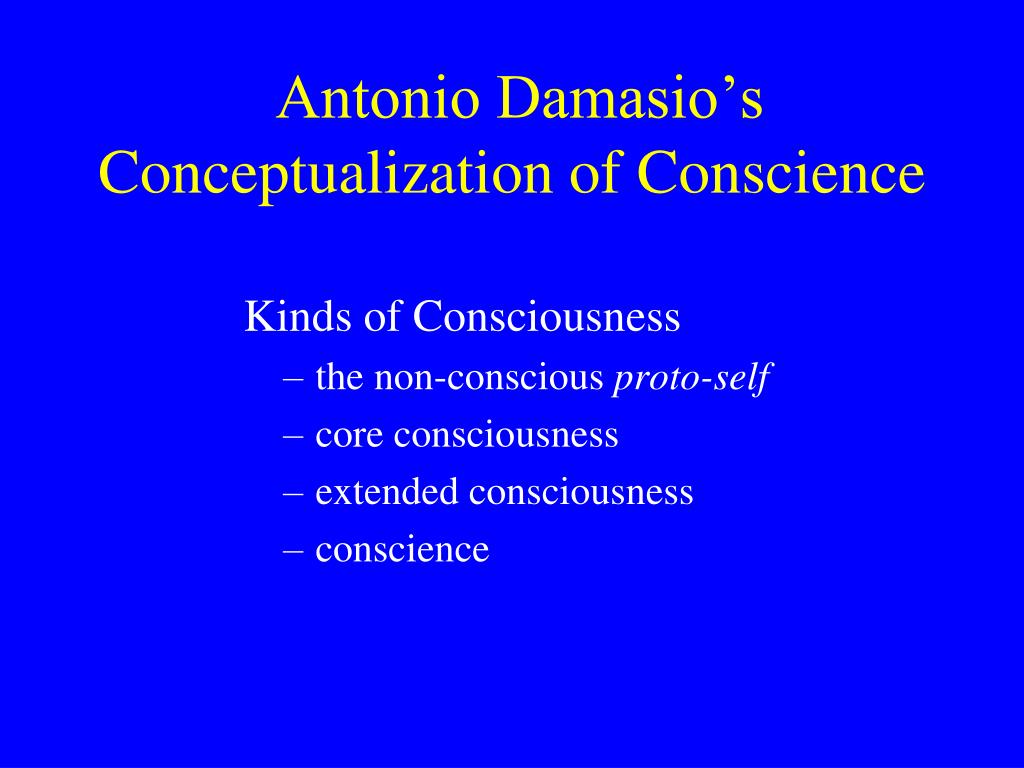 Simplified view of Damasio's model of consciousness: The protoself