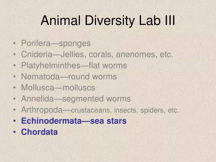 PPT - Animal Diversity Lab III PowerPoint Presentation, free download -  ID:1444333