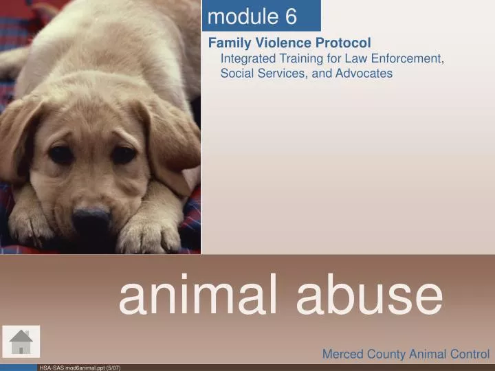 PPT - animal abuse PowerPoint Presentation, free download - ID:1444802