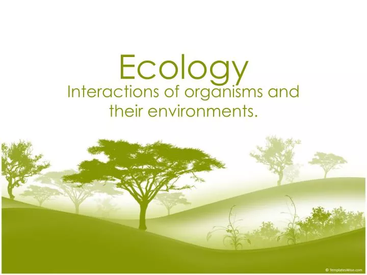 presentation powerpoint ecology