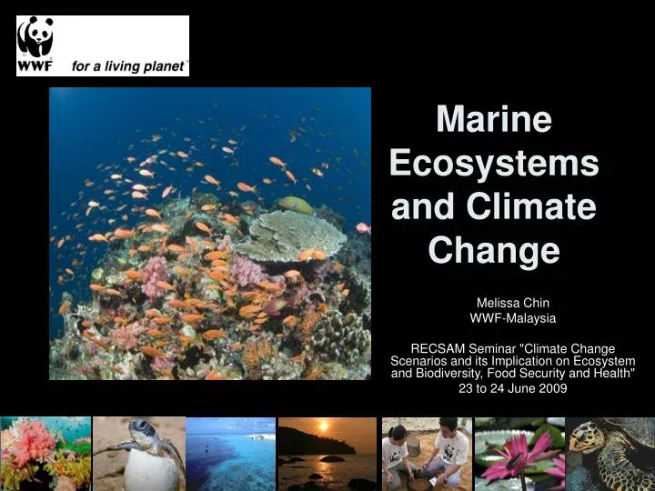PPT - Marine Ecosystems and Climate Change PowerPoint Presentation