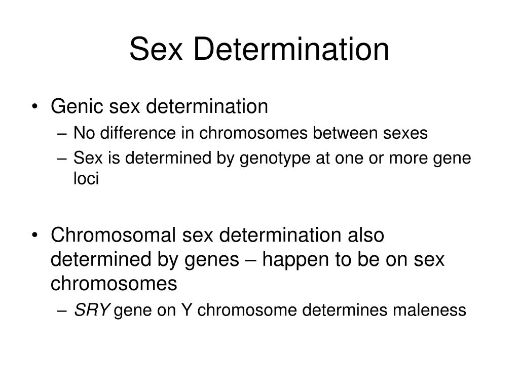sex determination thesis