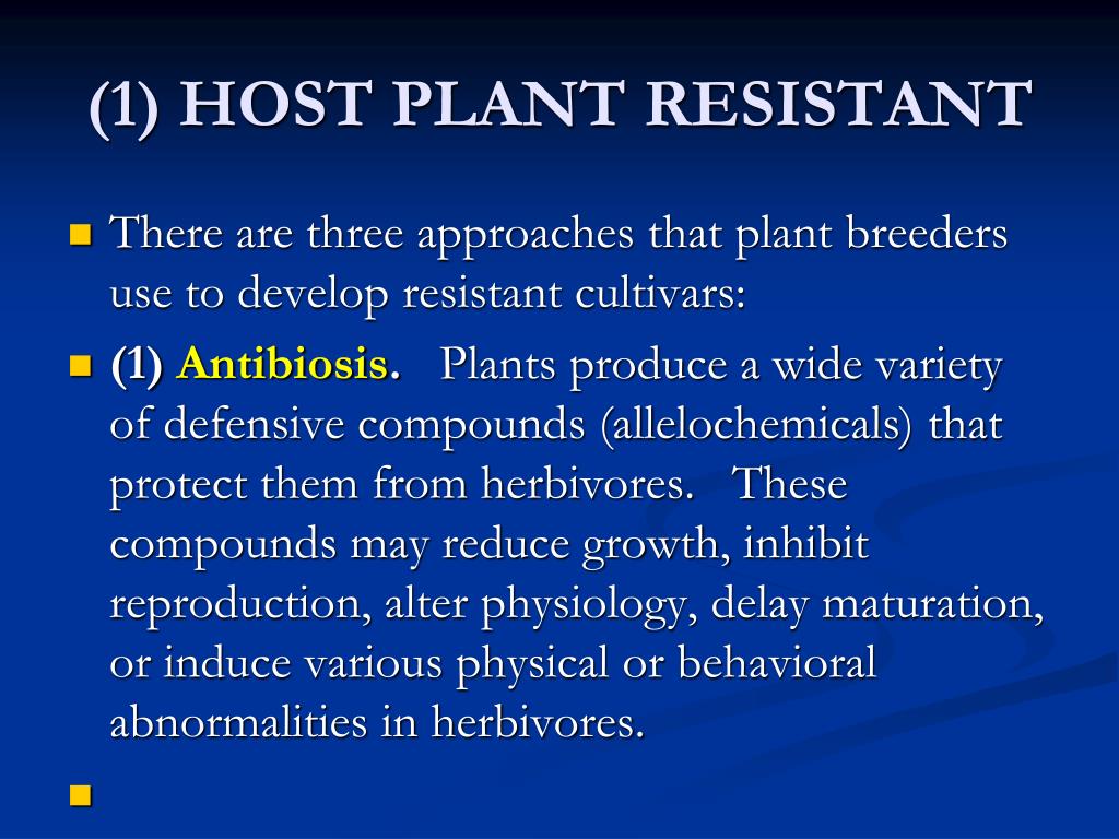 PPT AGRICULTURAL INSECT PESTS PowerPoint Presentation, free download