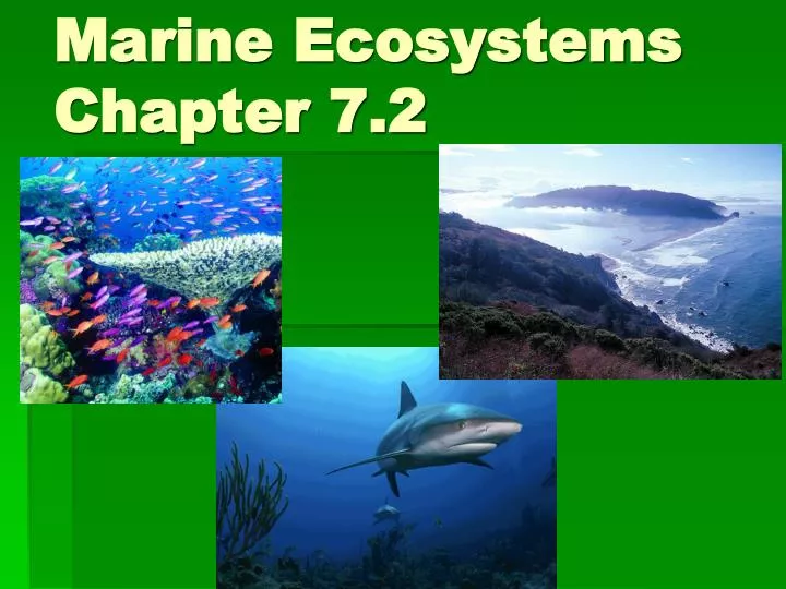 PPT - Marine Ecosystems Chapter 7.2 PowerPoint Presentation, free