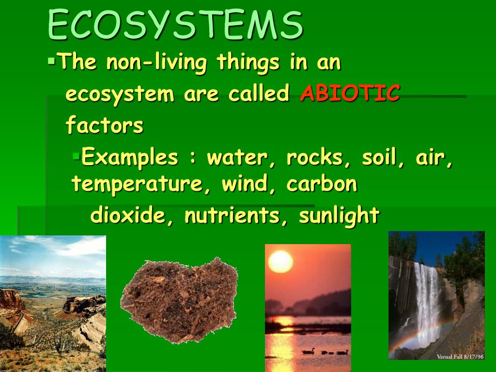 components of the environment presentation