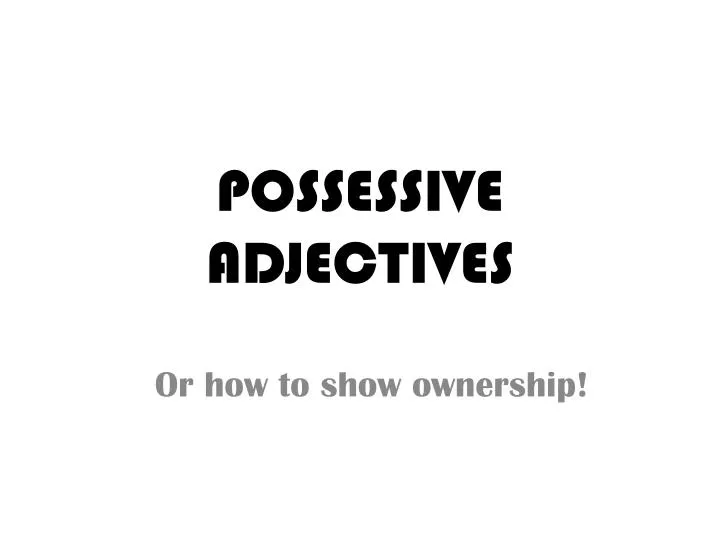 possessive adjectives n.