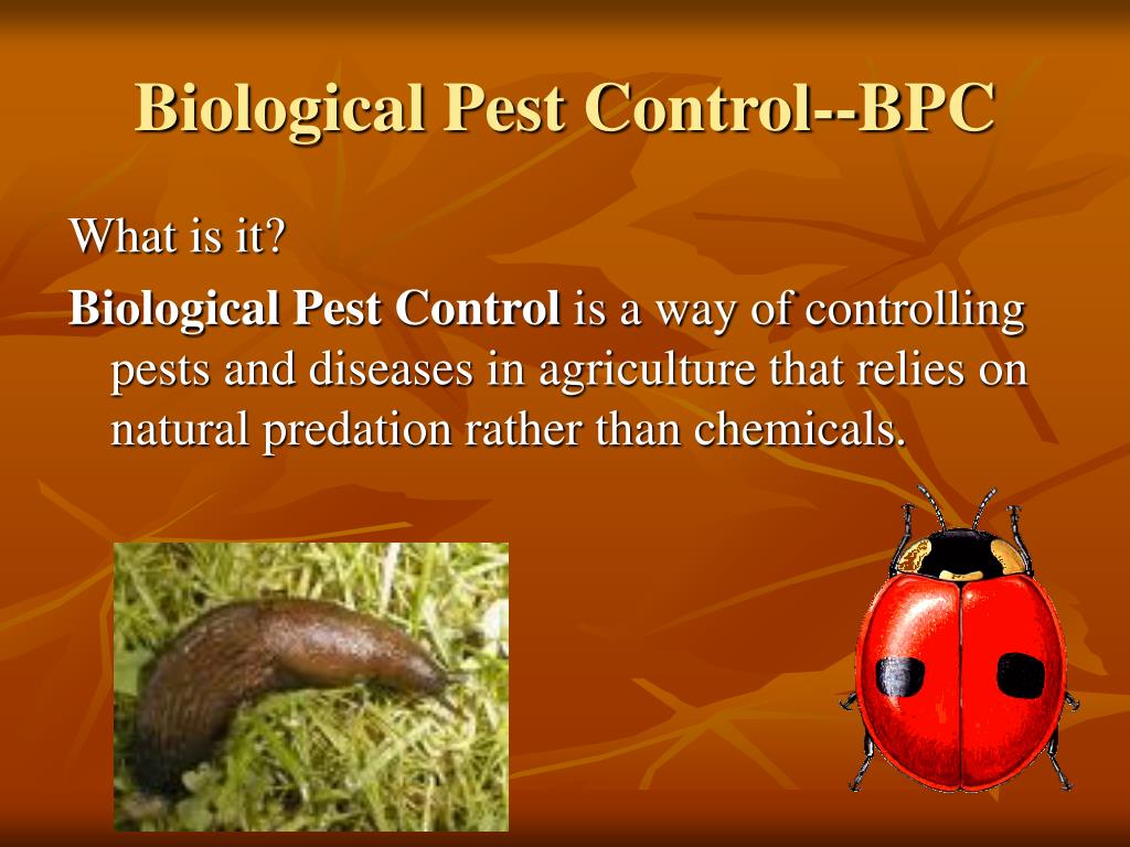 research on biological control of pest