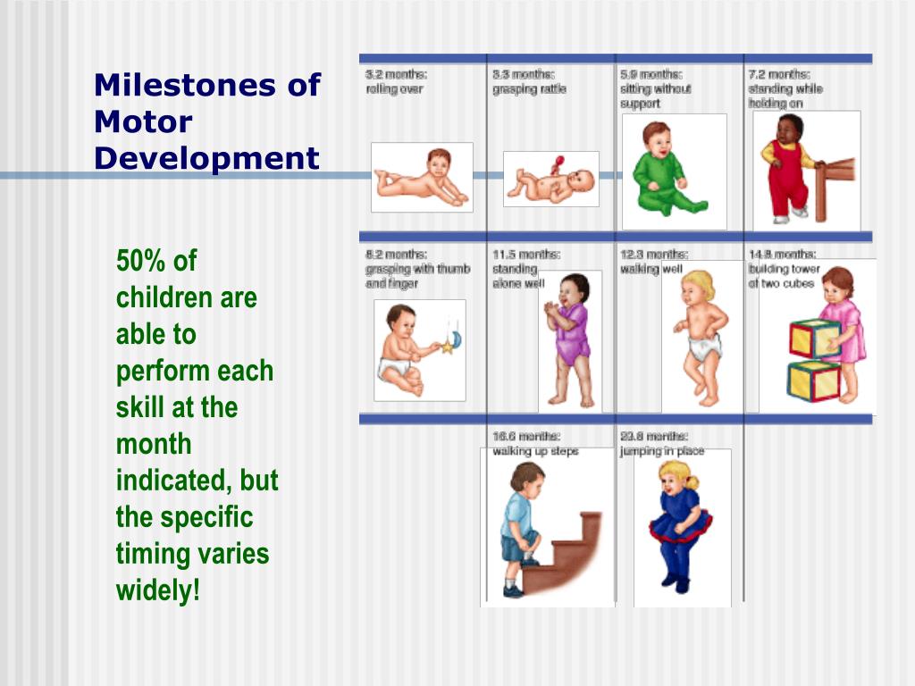 PPT - Infancy: Physical Development PowerPoint Presentation, free ...