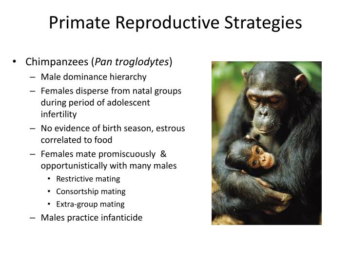 PPT - Reproductive Strategies PowerPoint Presentation - ID ...