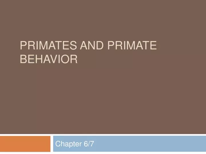 primates and primate behavior n.