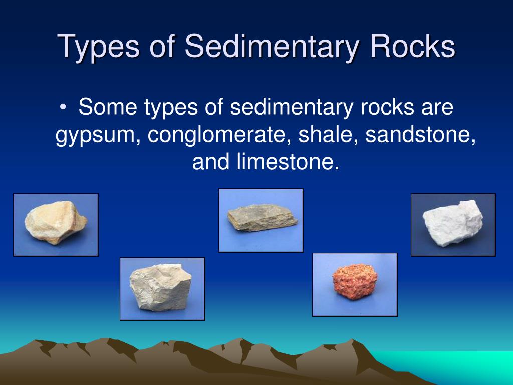 Sedimentary Rocks Pictures And Names