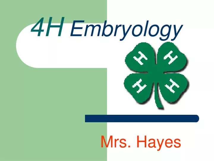 4h embryology n.