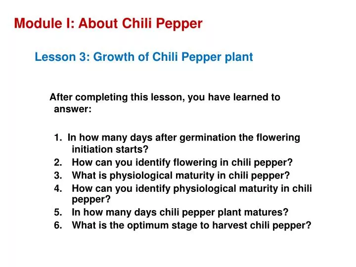 module i about chili pepper n.