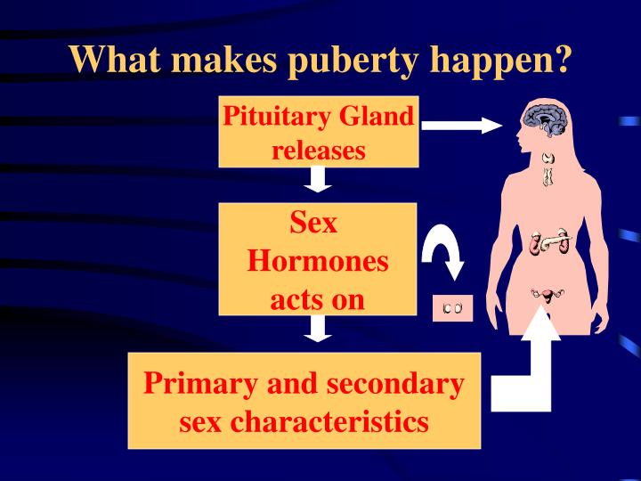 PPT PUBERTY PowerPoint Presentation ID 1449996
