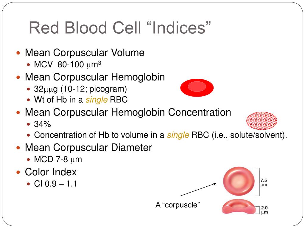 Red Blood Cell Indices Red Blood Cell Indices