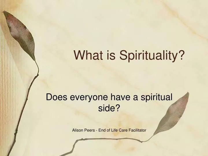 what is spirituality n.