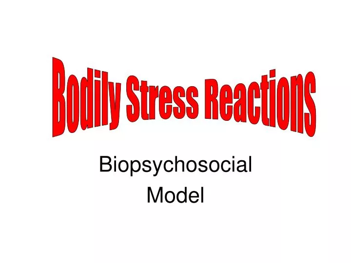 biopsychosocial model n.
