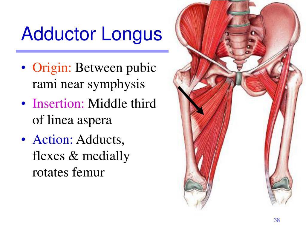 PPT Lab Activity 11 Group II PowerPoint Presentation Free Download 