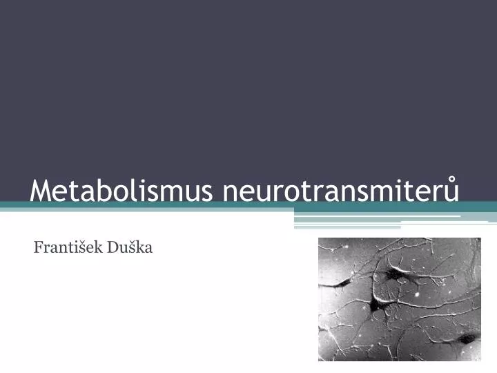 metabolismus neurotransmiter n.